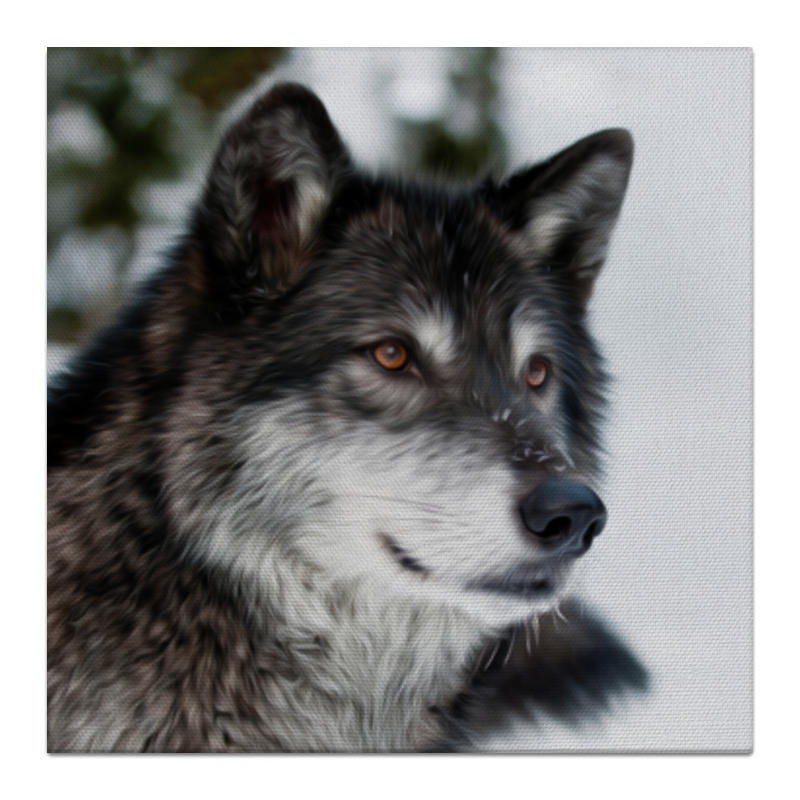 Холст 30x30 Printio Серый волк