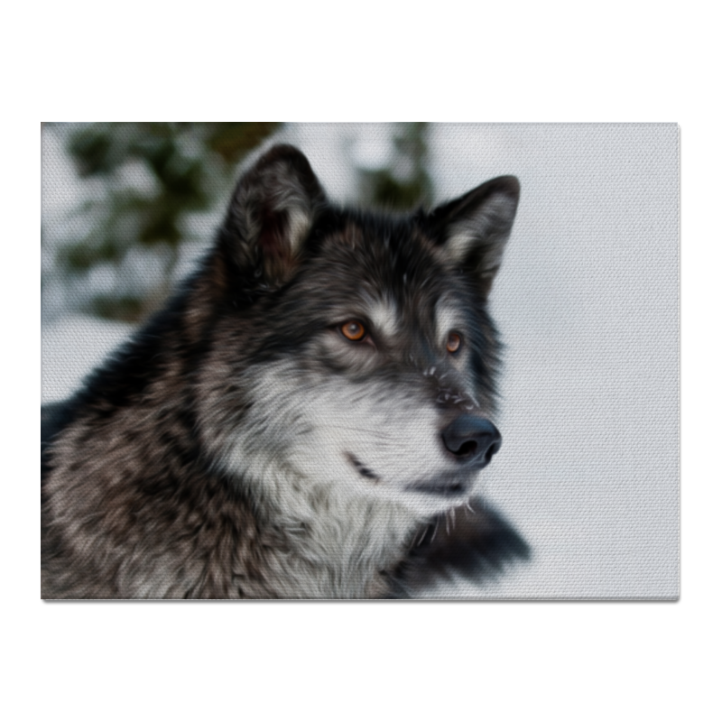 Холст 30x40 Printio Серый волк