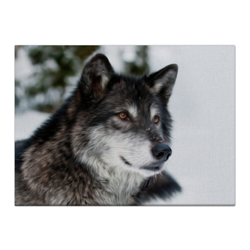 Холст 40x55 Printio Серый волк
