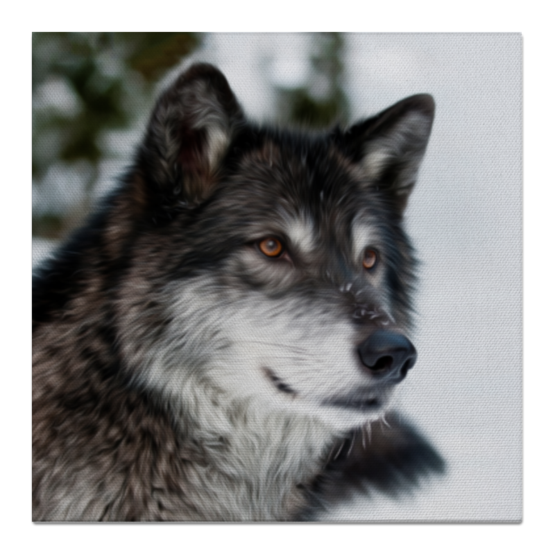 Холст 50x50 Printio Серый волк