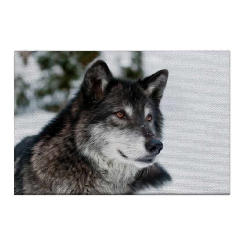 Холст 50x75 Printio Серый волк