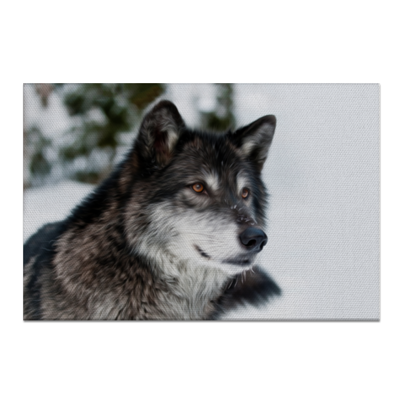 Холст 60x90 Printio Серый волк