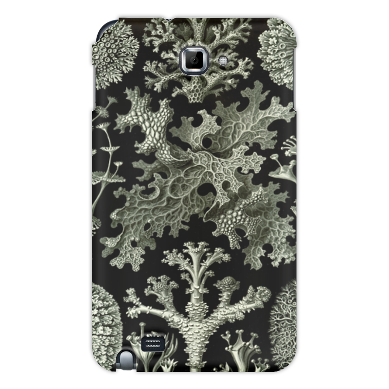 Чехол для Samsung Galaxy Note Printio Лишайники (lichenes, ernst haeckel)