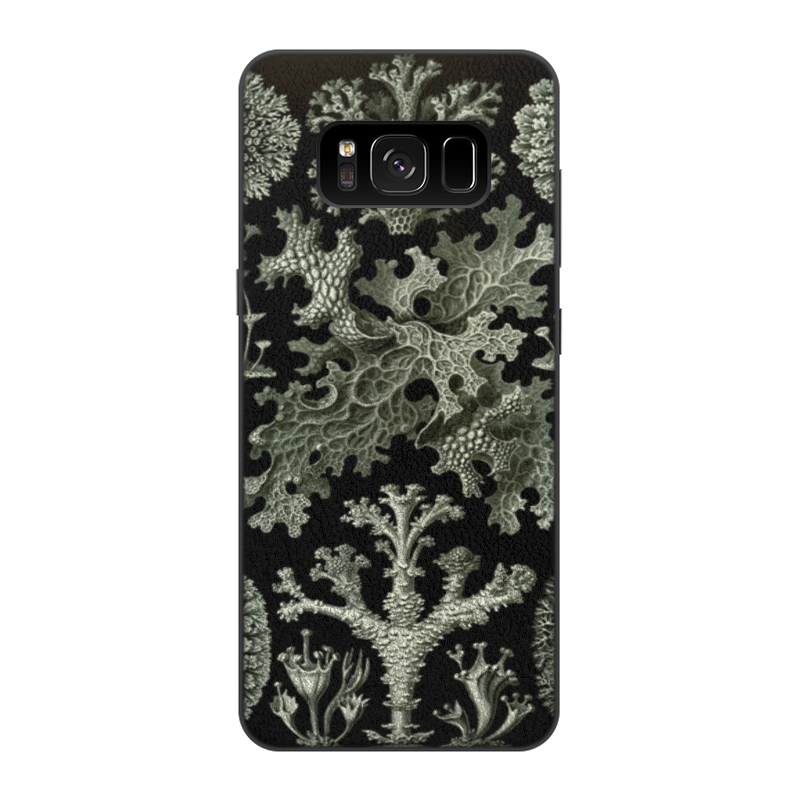 Чехол для Samsung Galaxy S8, объёмная печать Printio Лишайники (lichenes, ernst haeckel)