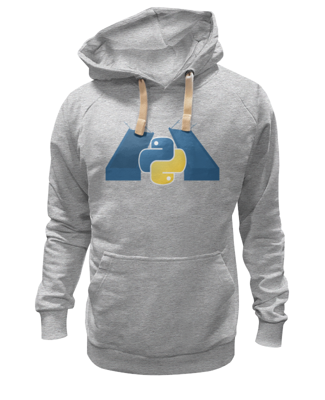 Толстовка Wearcraft Premium унисекс Printio Spb python classic design hoodie