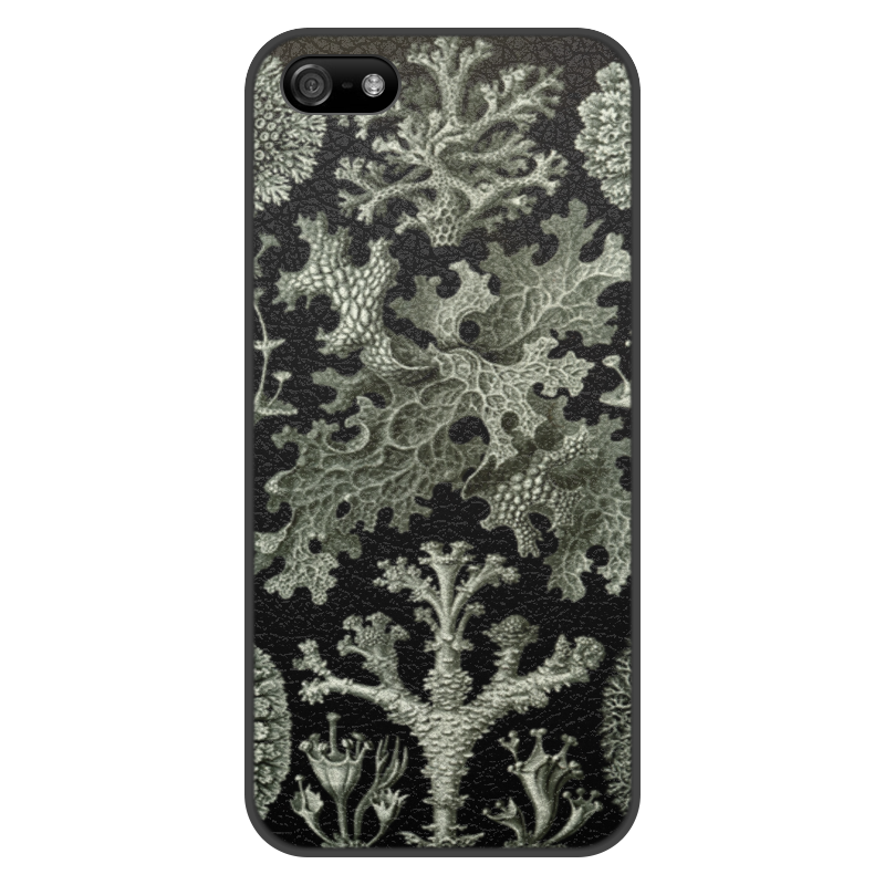 Чехол для iPhone 5/5S, объёмная печать Printio Лишайники (lichenes, ernst haeckel)