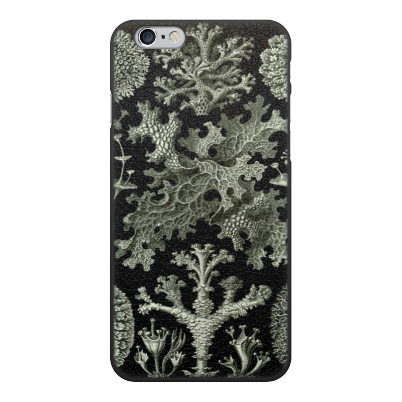 Чехол для iPhone 6, объёмная печать Printio Лишайники (lichenes, ernst haeckel)