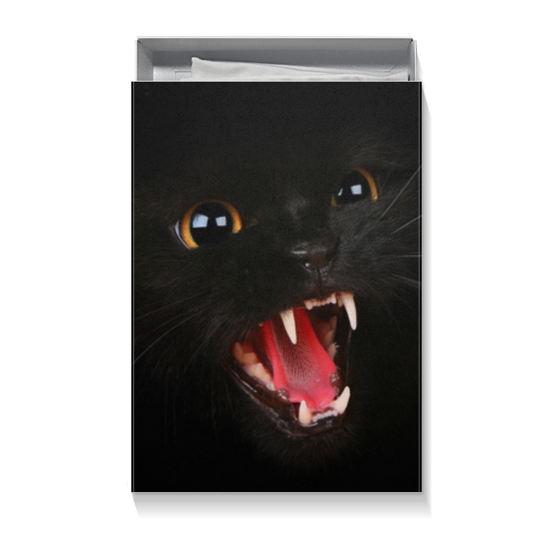 Коробка для футболок Printio Черная кошка