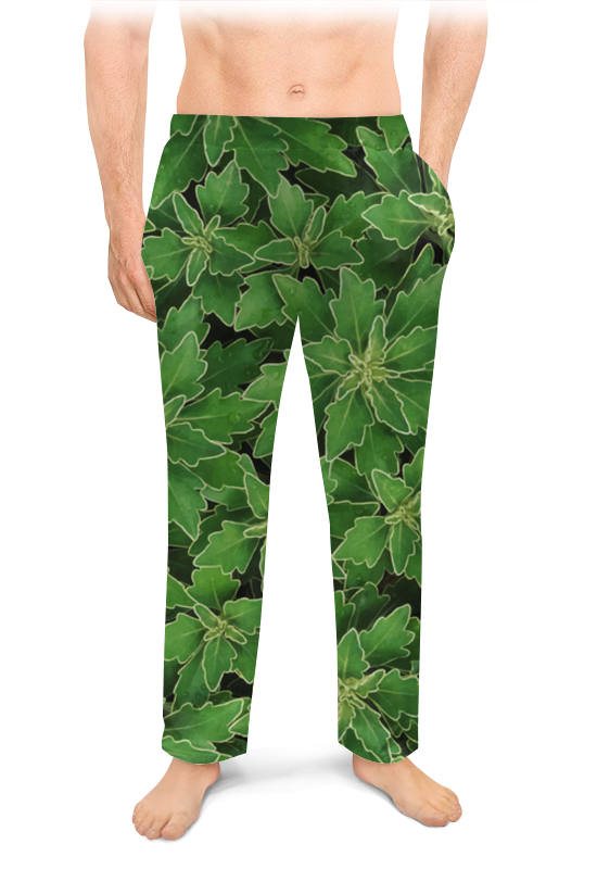 Мужские пижамные штаны Printio Зеленые листья
