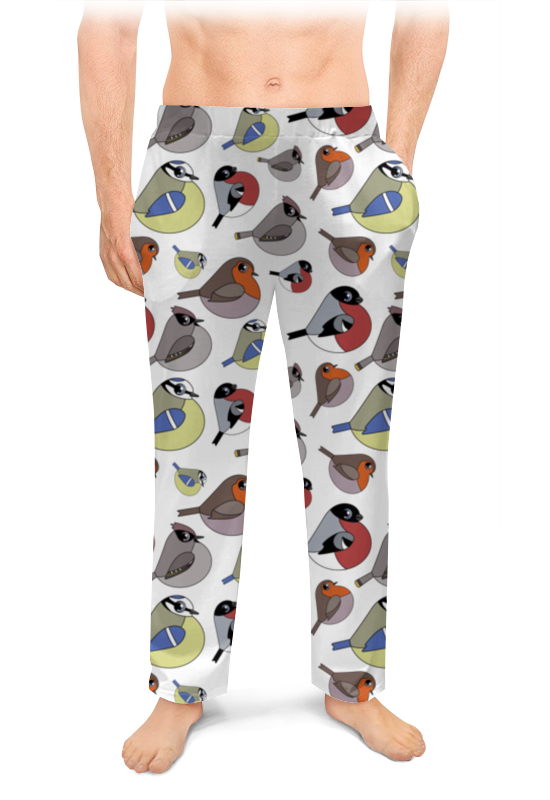Мужские пижамные штаны Printio Сферические птички