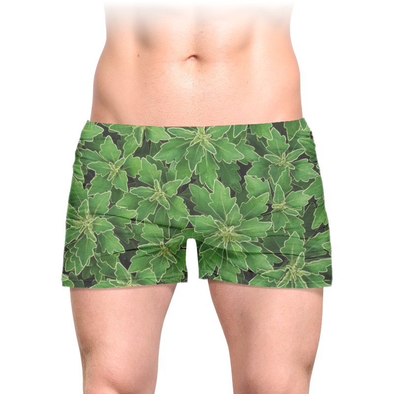 Трусы мужские с полной запечаткой Printio Зеленые листья