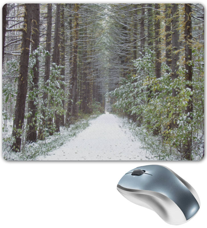 Коврик для мышки Printio Winter forest / зимний лес