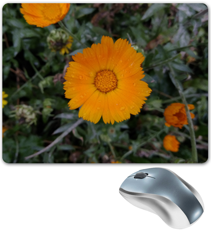 Коврик для мышки Printio Летние цветы
