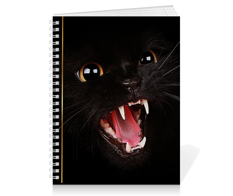 Тетрадь на пружине Printio Черная кошка