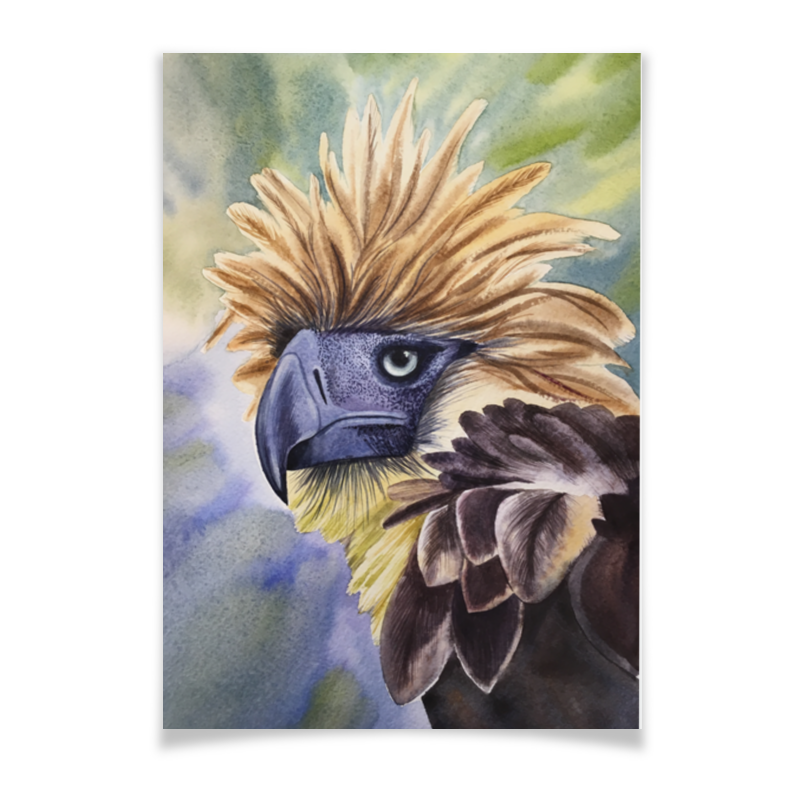 Плакат A3(29.7x42) Printio Филиппинский орел
