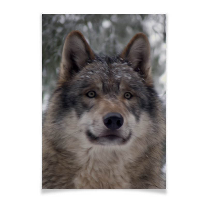 Плакат A3(29.7x42) Printio Волк в лесу