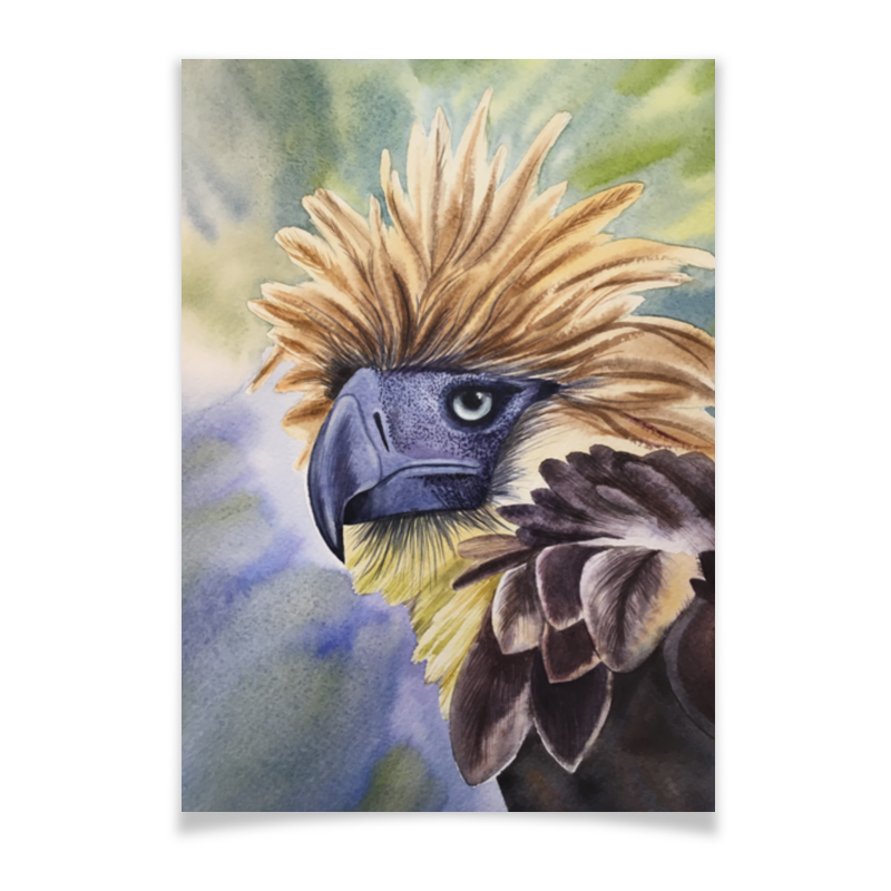 Плакат A2(42x59) Printio Филиппинский орел