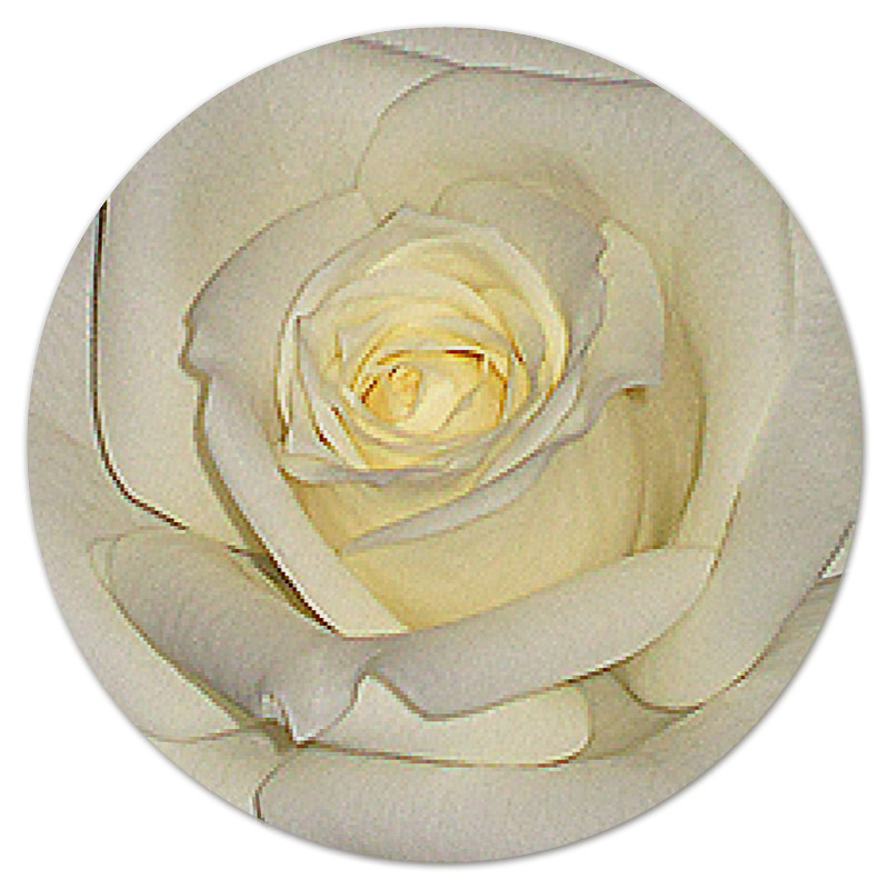 Коврик для мышки (круглый) Printio Белая роза.
