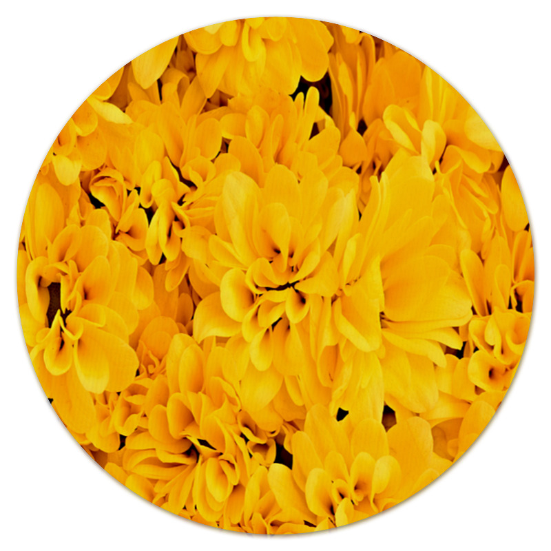 Printio Желтые цветы
