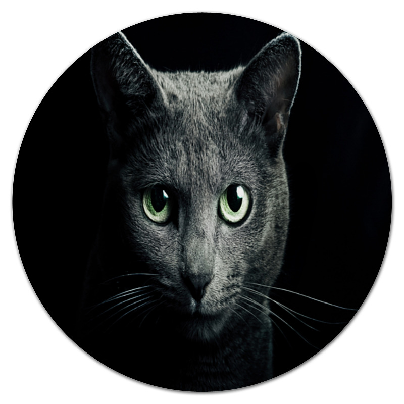 Коврик для мышки (круглый) Printio Серый кот