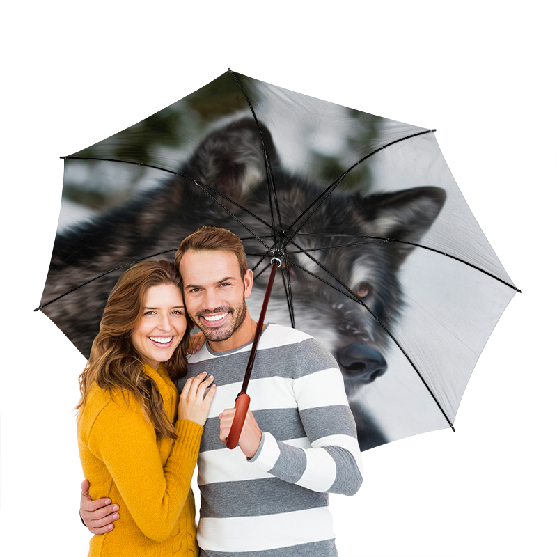 Зонт-трость двусторонний с деревянной ручкой Printio Серый волк